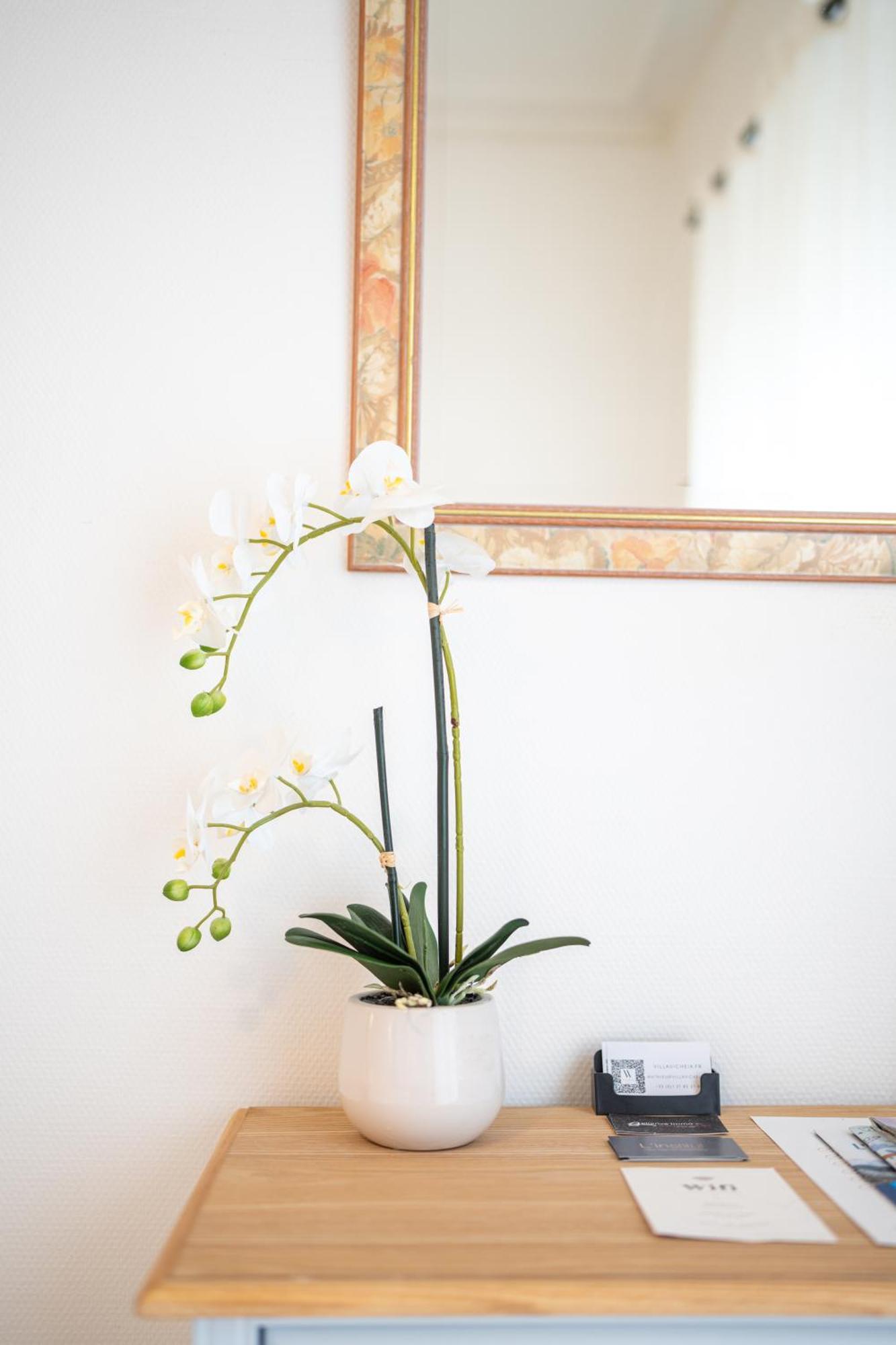 Villa Vicheia - Appartement 2 维琪 外观 照片